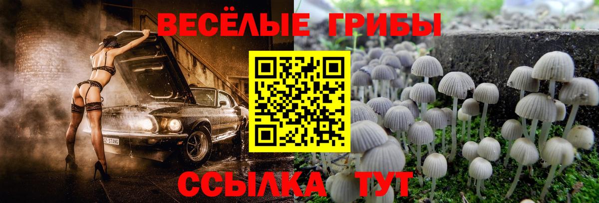 Псилоцибиновые грибы мухоморы Карталы