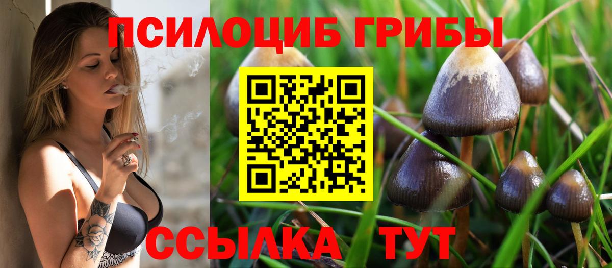 Галлюциногенные грибы Psilocybe  Псилоцибиновые грибы Psilocybine cubensis  Вход с VPN  Карталы 